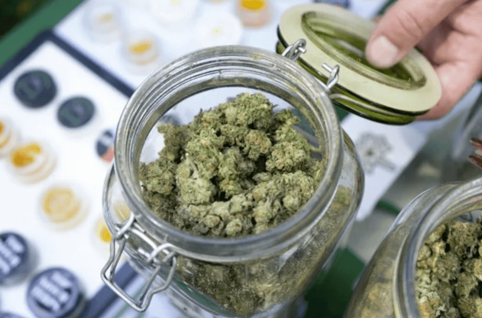Difference between Medical and Recreational Dispensaries in Michigan